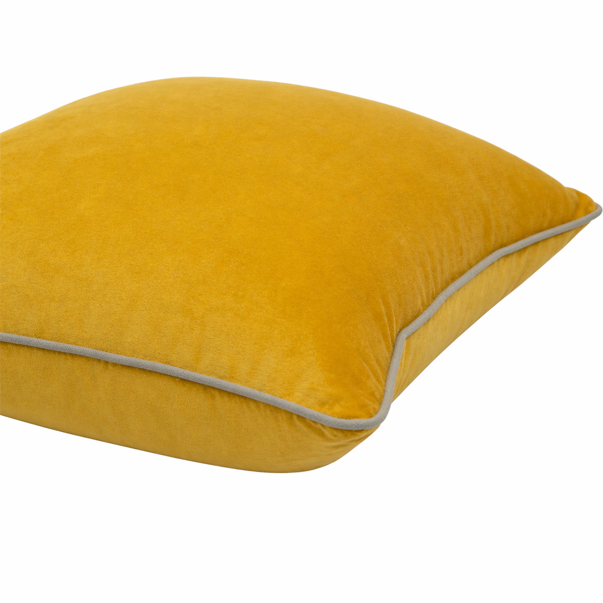 Kanak Cotton Velvet Cushion by Of Earth