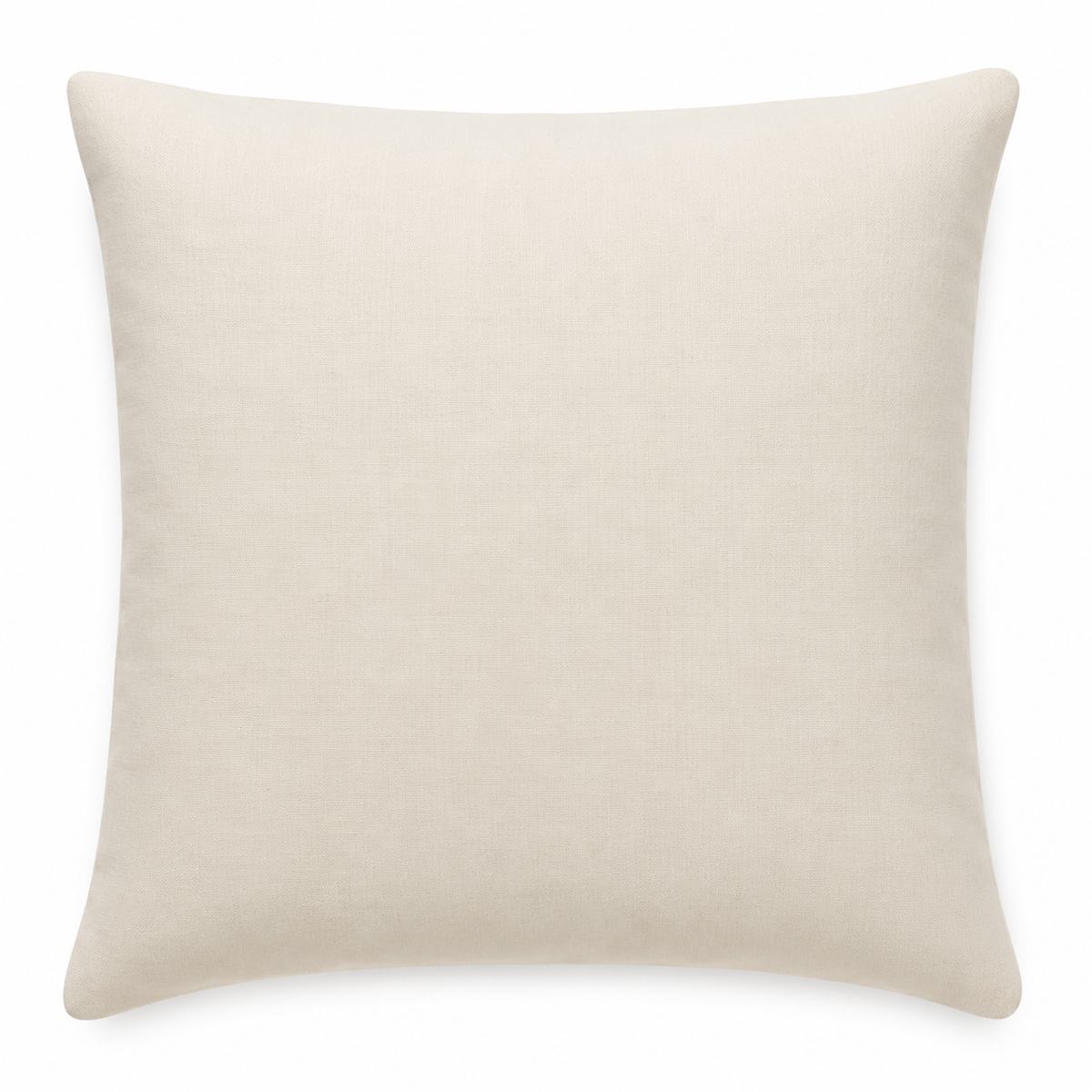 Maitreyi Cotton Cushion