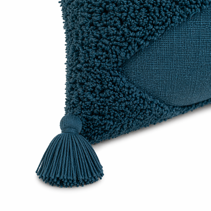 Aasman Cotton Cushion