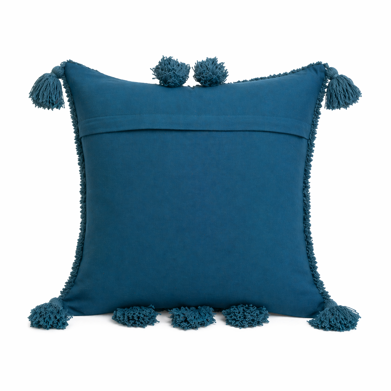 Aasman Cotton Cushion