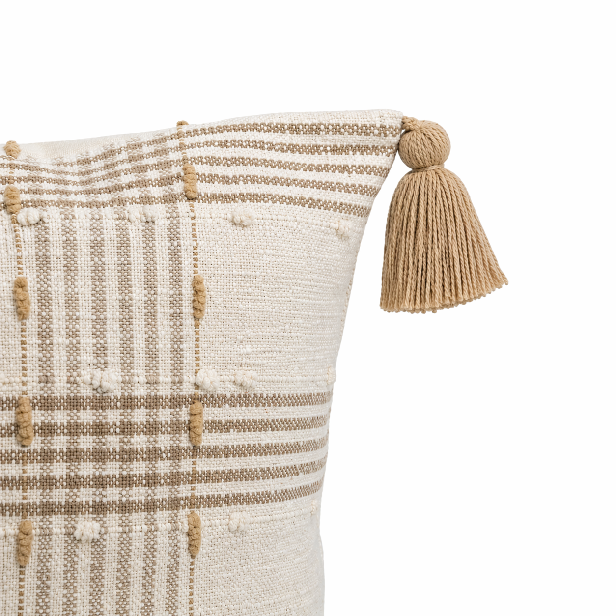 Chitra Cotton Cushion