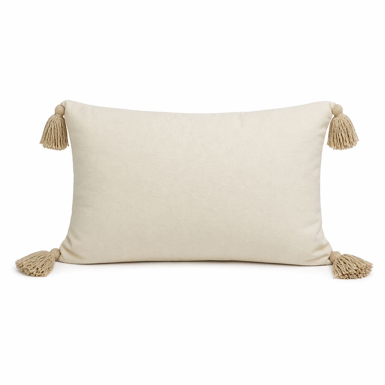 Chitra Cotton Cushion
