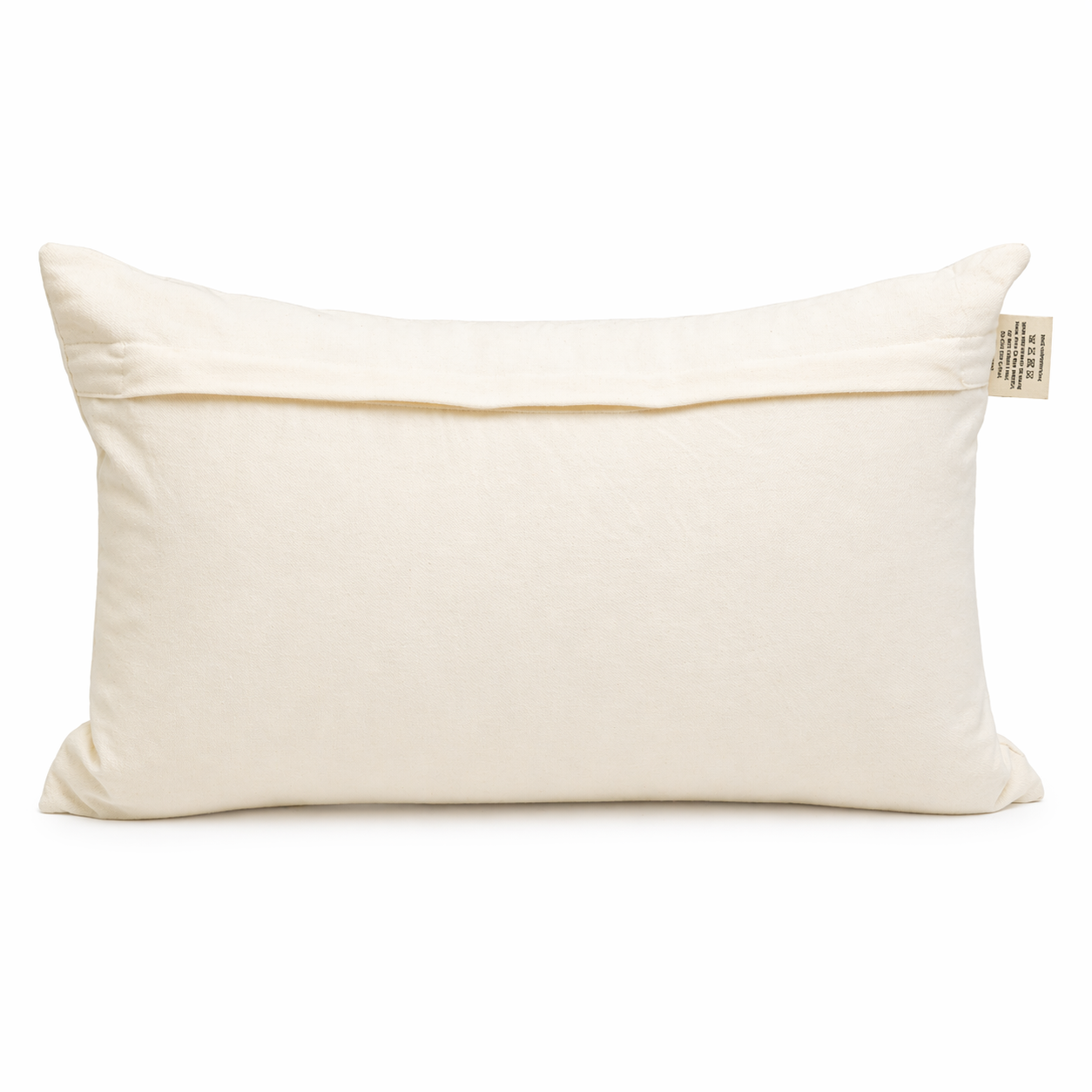 Dhaara Cotton Cushion by Of Earth
