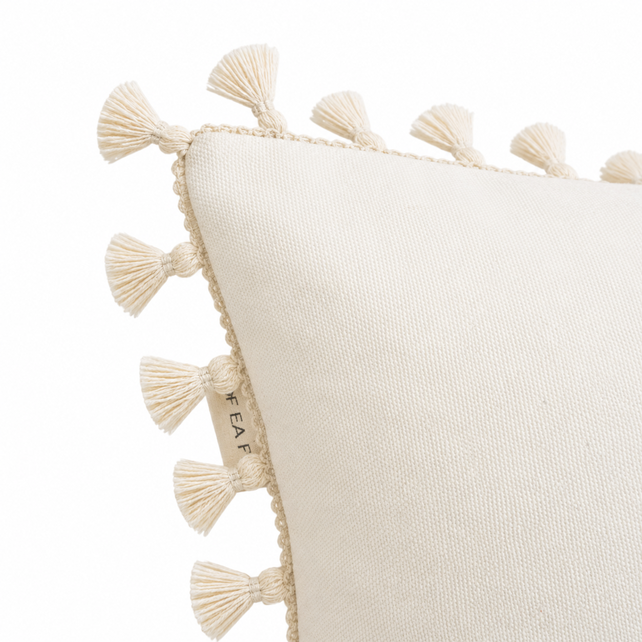 Dhuni Cotton Cushion