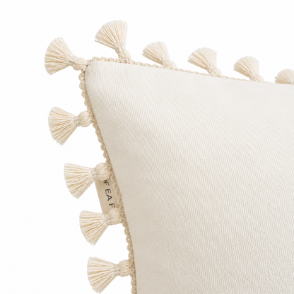 Dhuni Cotton Cushion