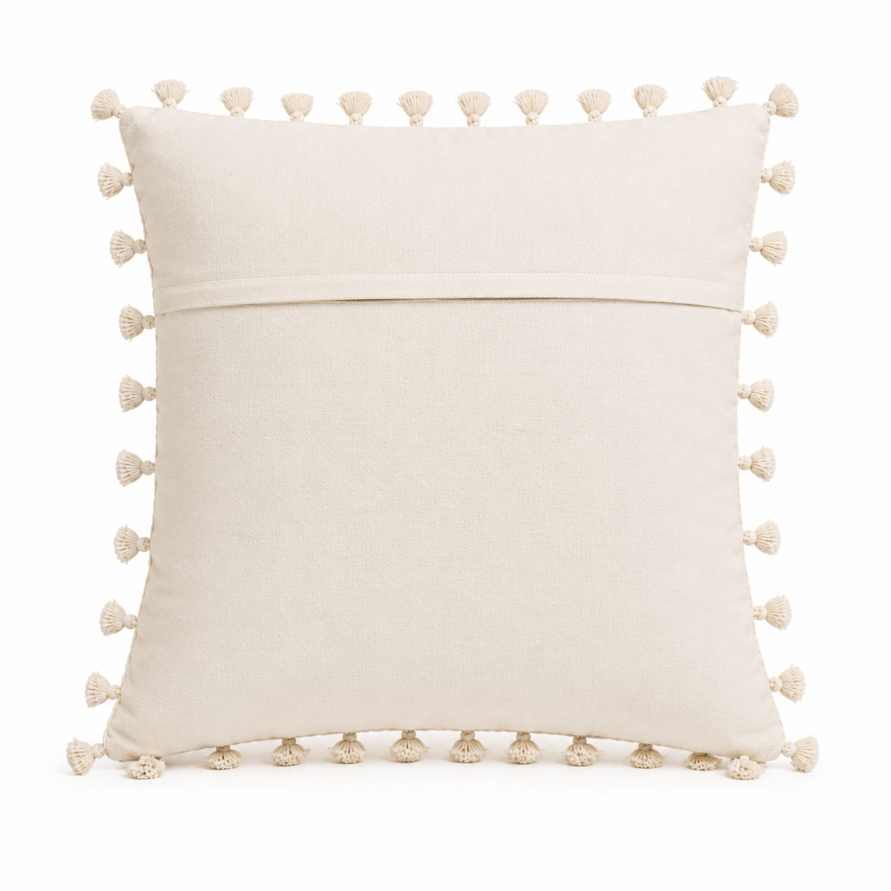 Dhuni Cotton Cushion