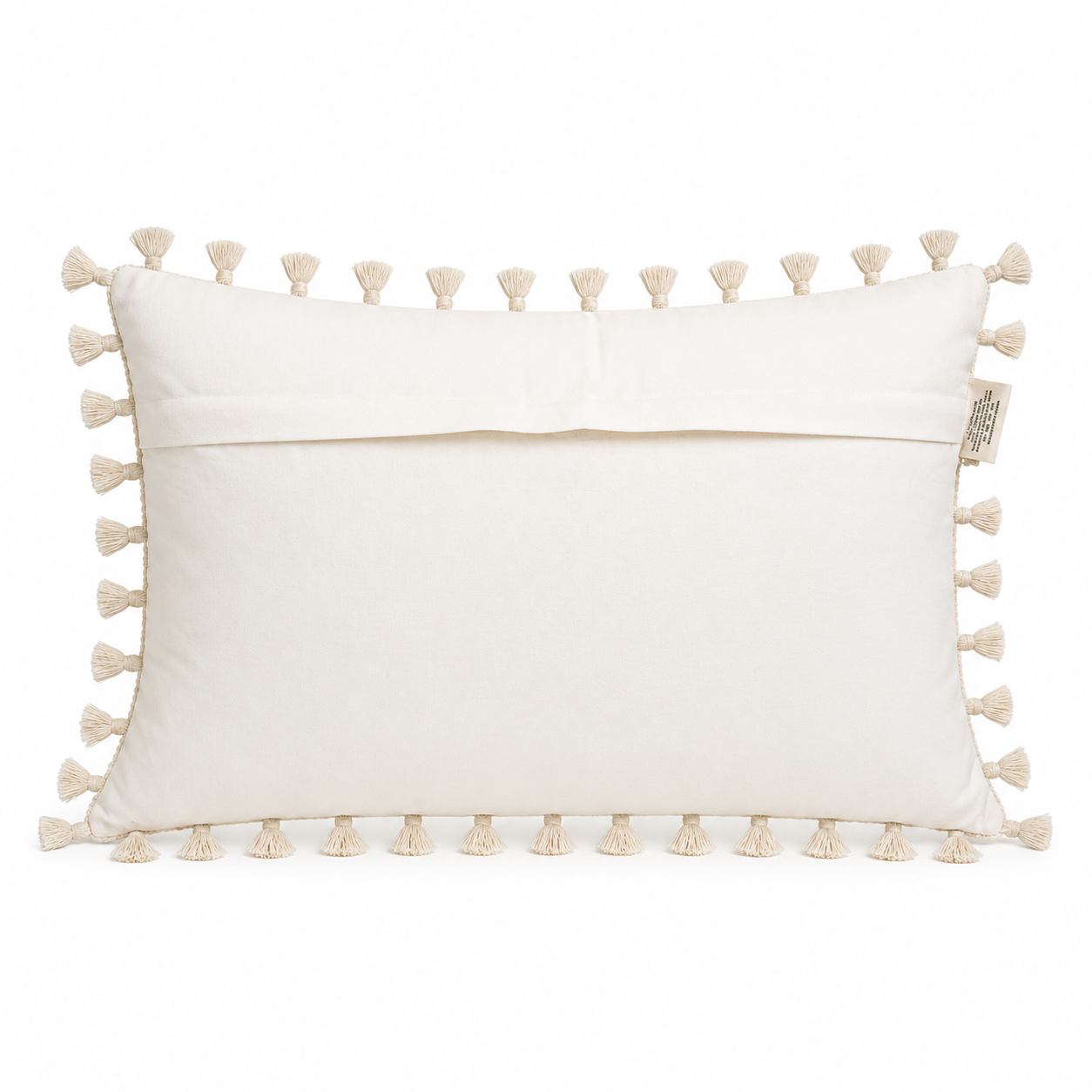 Dhuni Cotton Cushion