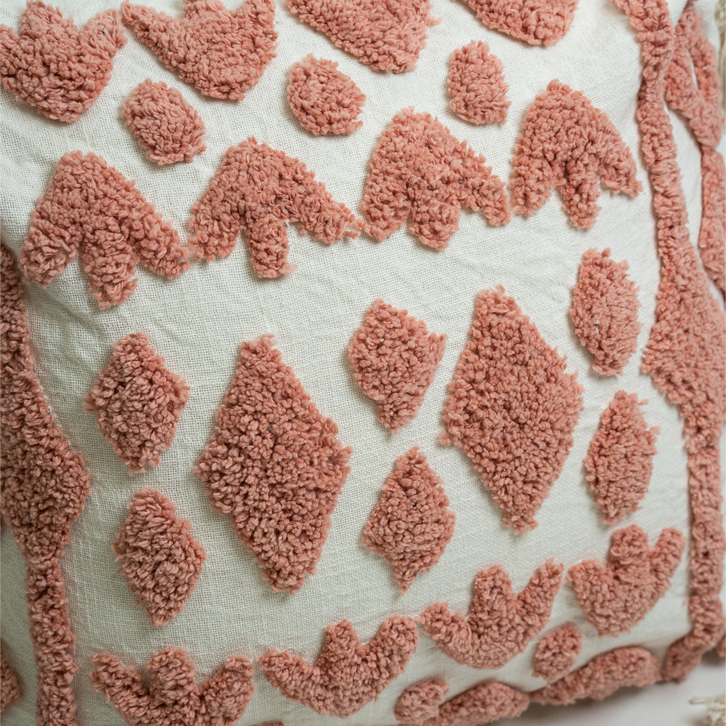 Hridya Cotton Cushion