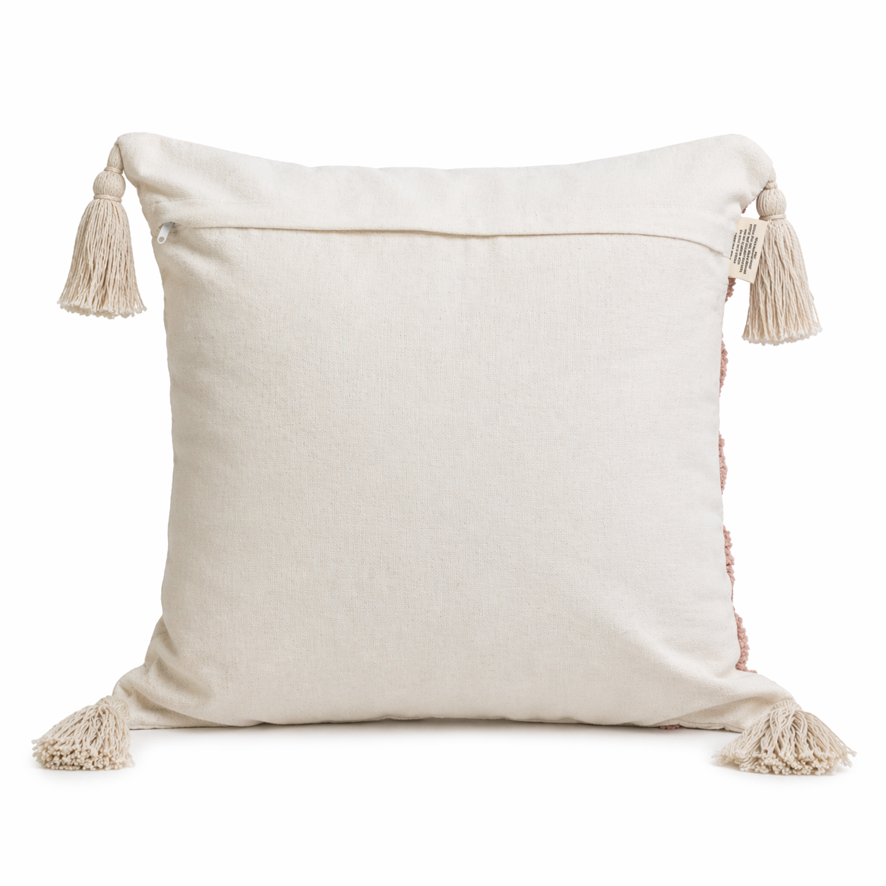 Hridya Cotton Cushion