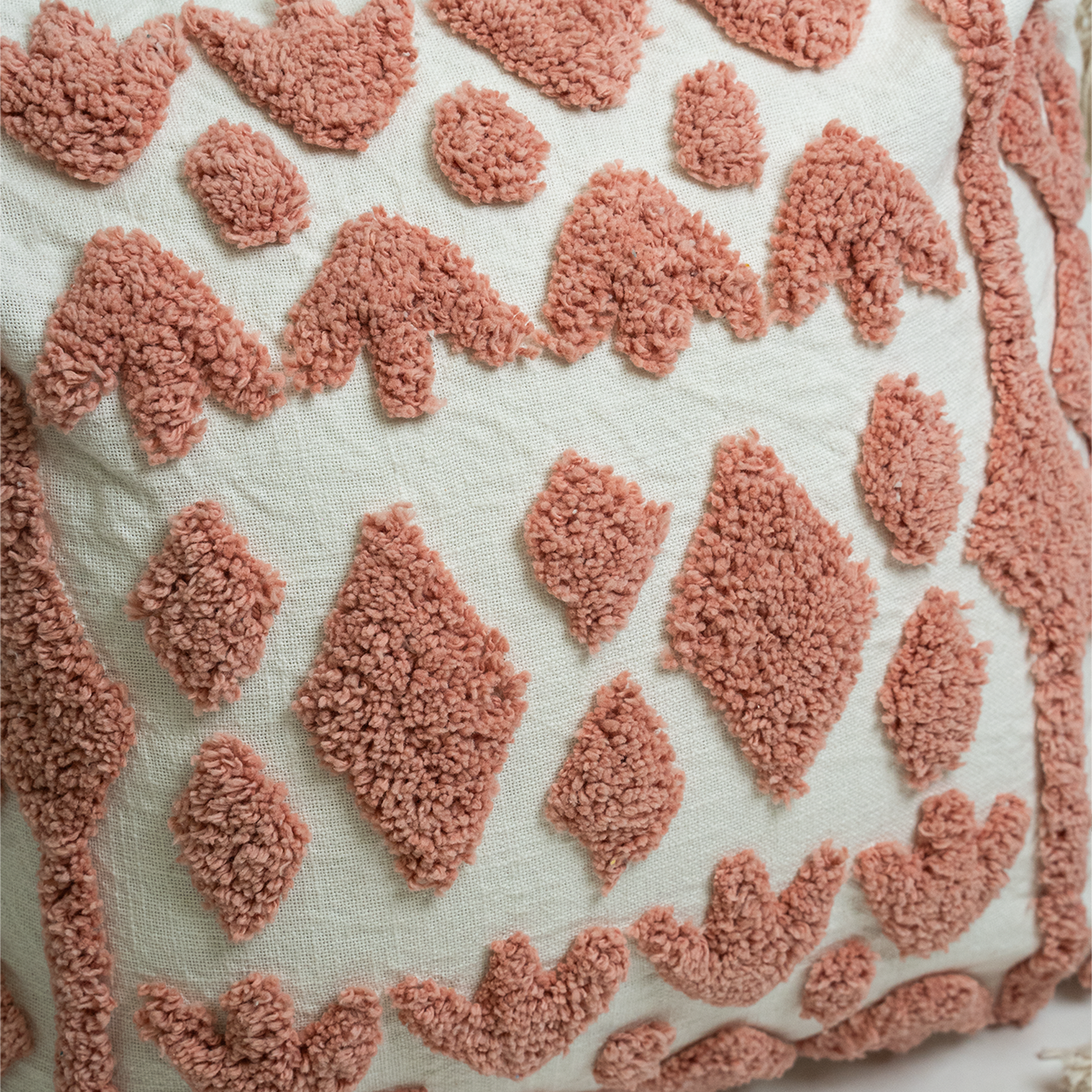 Hridya Cotton Cushion by Of Earth