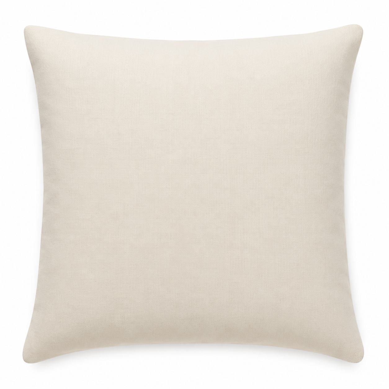 Maitreyi Cotton Cushion