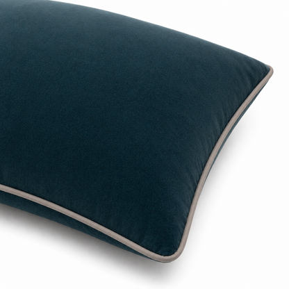 Neelam Cotton Velvet Cushion