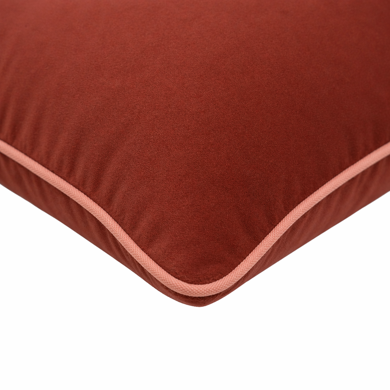 Shraya Cotton Velvet Cushion