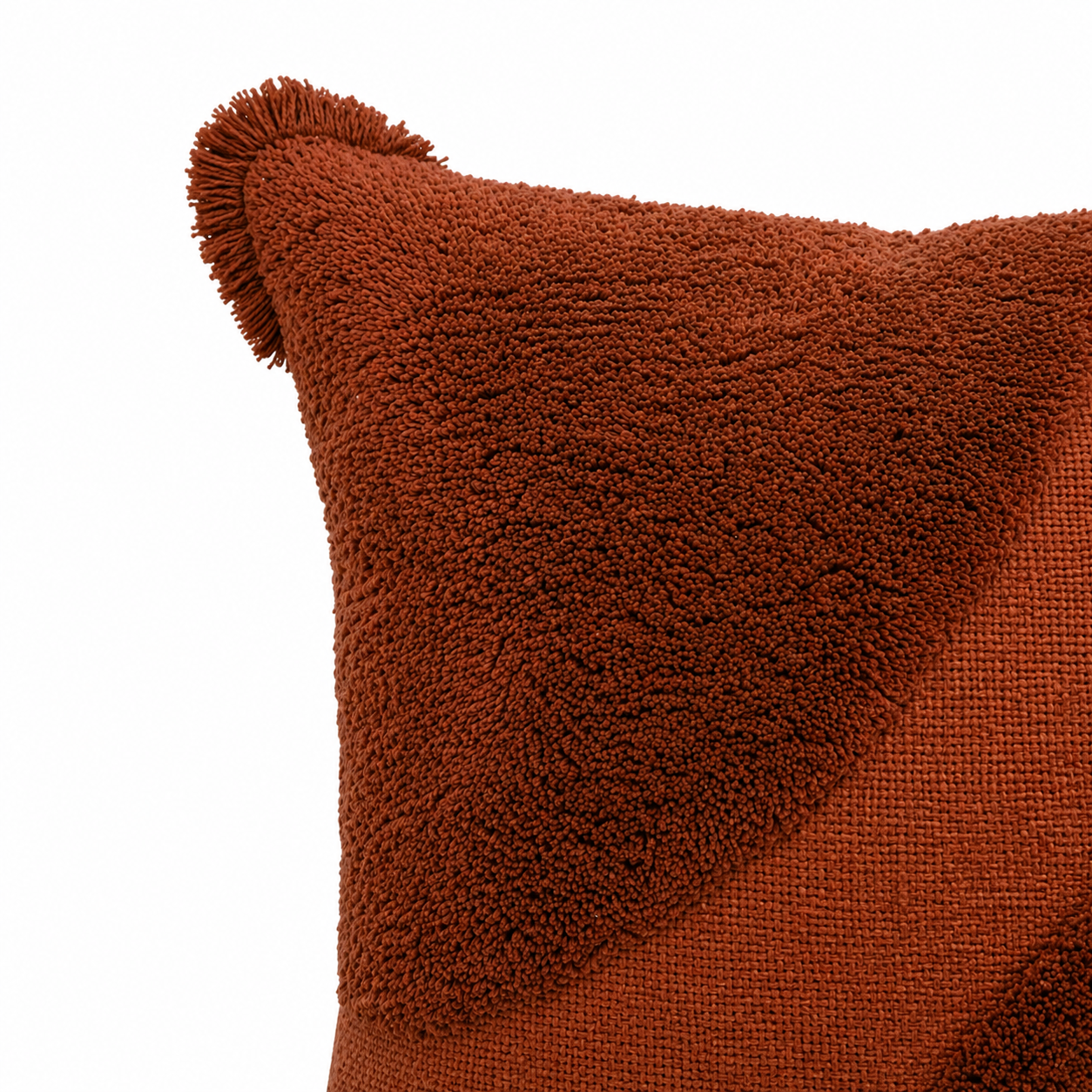 Tarini Cotton Cushion